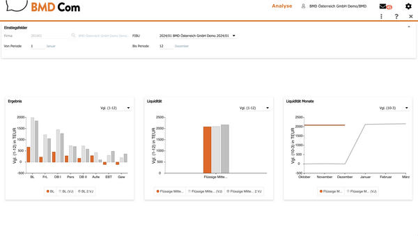 Screenshot der Analyse in der BMD Com