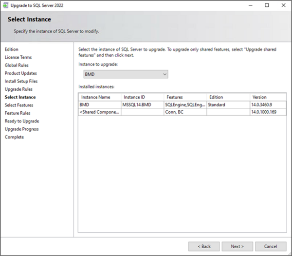 Screenshot of the step "Select Instance"; check of the prerequisites
