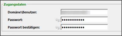 The screenshot shows several fields where login details, such as the password, can be entered.