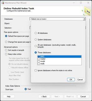 Screenshot_Define Rebuild Index Tasks