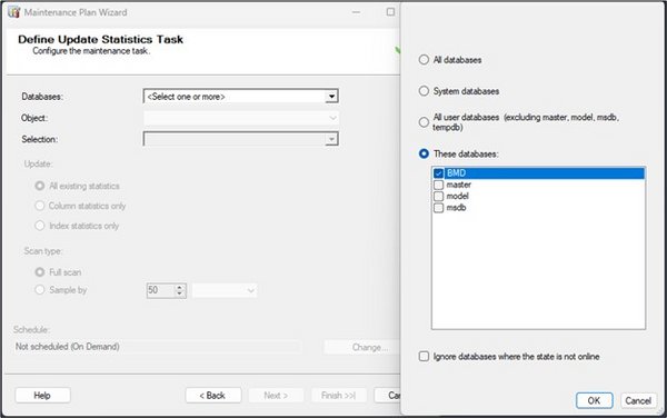 Screenshot of the step "Define Update Statistics Task" with the BMD database selected