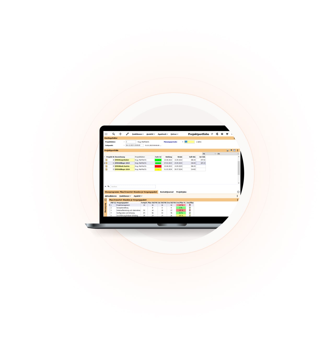Screenshot vom Projektportfolio in der BMD Projektmanagementsoftware 