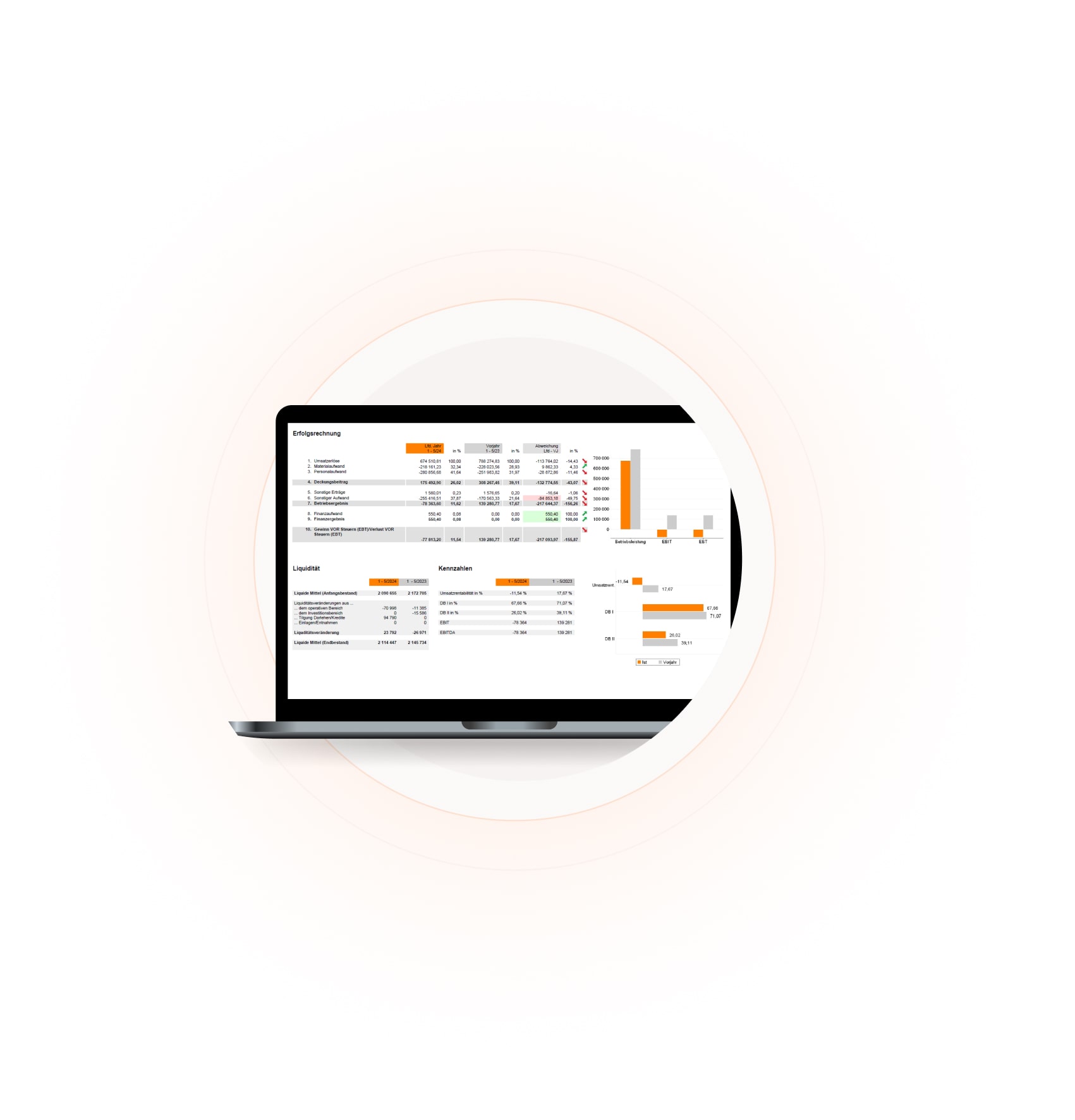 Screenshot aus der BMD Controlling-Software
