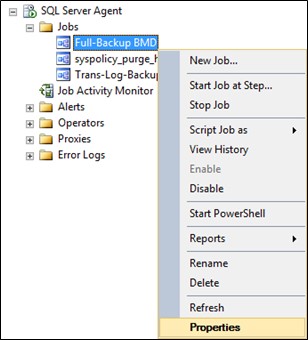 Screenshot of the "Properties" option under "Full Backup BMD"