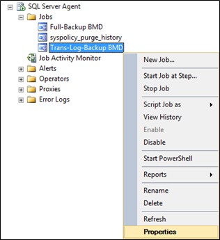 Screenshot of the "Properties" option under "Trans Log Backup BMD"