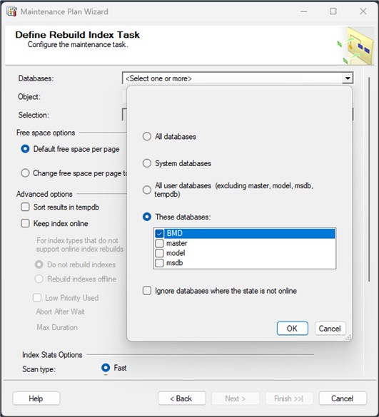 Screenshot of the step "Define Rebuild Index Task" with the BMD database selected