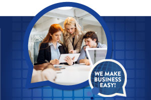 Download Folder Wirtschaftsprüfung