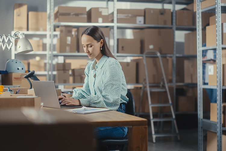 Das Bild zeigt eine Frau in einem Lager mit Laptop [©Gorodenkoff - stock.adobe.com]