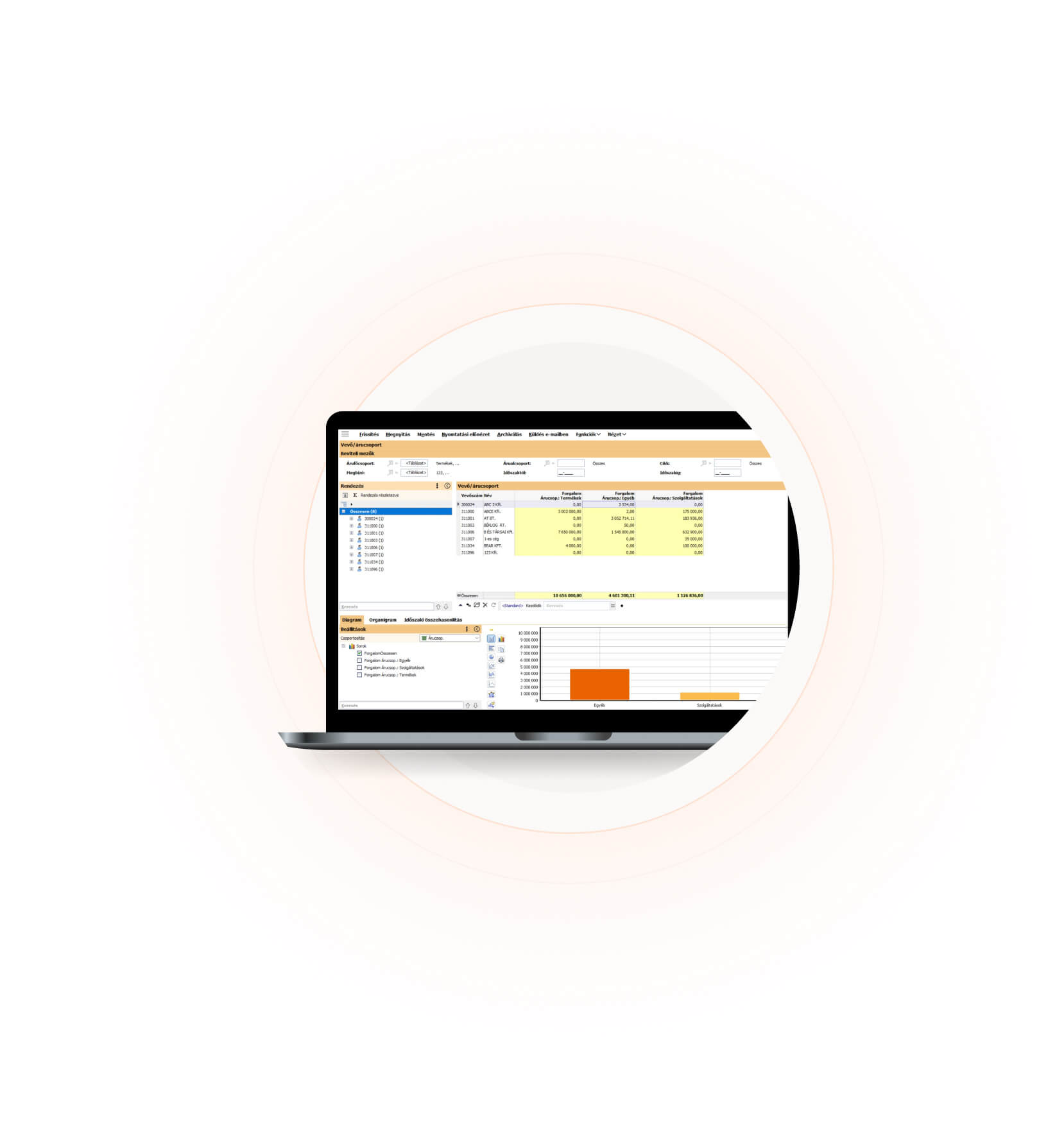 Pillanatkép a BMD számlázásról a termékcsoport-statisztikákkal.