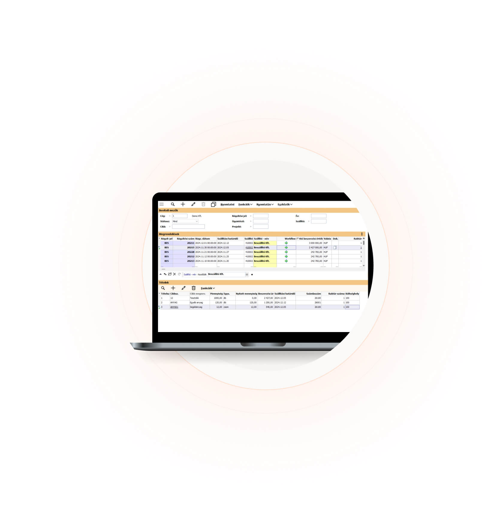 Pillanatkép a BMD árukezelésről a rendelések áttekintésével.